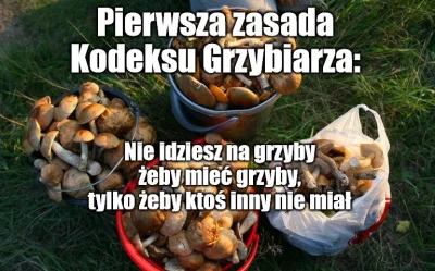 djtartini1 - #grzyby #heheszki