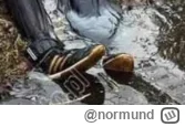 normund - @POPCORN-KERNAL: Buty nie wskazują, żeby coś planował w terenie ma poważnie...