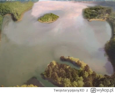 TwojstarypijanyXD - #mecz where karniaczek