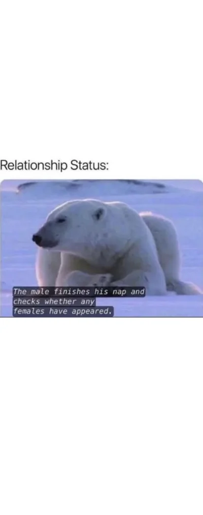 AgentGRU - Gdzie te płodne samice 
#przegryw