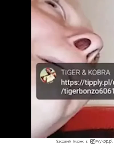 Szczurek_kupiec - #bonzo akat tego typu