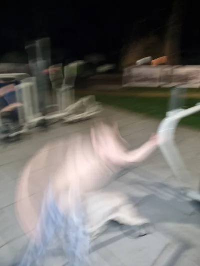 AaAnAh - @derzaba kolega mojego syna