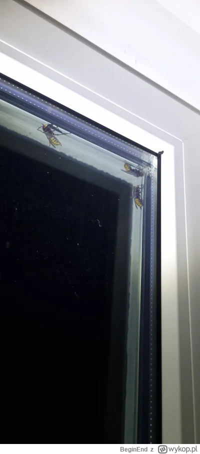 BeginEnd - @BeginEnd: