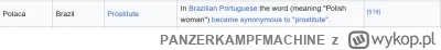 PANZERKAMPFMACHINE - Nie wiedziałem że w Brazylii żyje aż tylu polskich mizoginistycz...