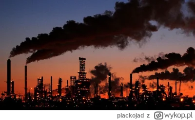 plackojad - #rolnikszukazony #niedzielawieczur w oczekiwaniu na to, co na screenie ( ...