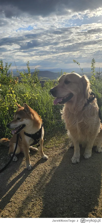 JarekNoooTego - @blk01 a myślałem, ze tylko ja mam takie dziwaczne połączenie ras xd