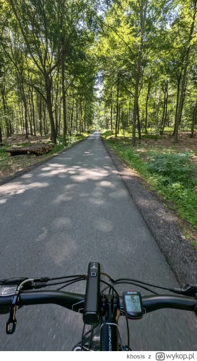 khosis - Mirki i Mirabelki z #Kaszuby, jutro ruszam na kilka dni na małego #rower tri...