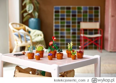 kolekcjonerki_com - 1 grudnia zadebiutują nowe klocki LEGO Icons z kolekcji botaniczn...