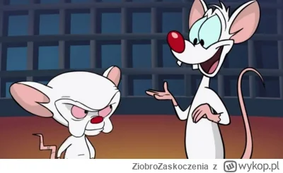 ZiobroZaskoczenia - @WenerowaAngela: Przecież to Mózg