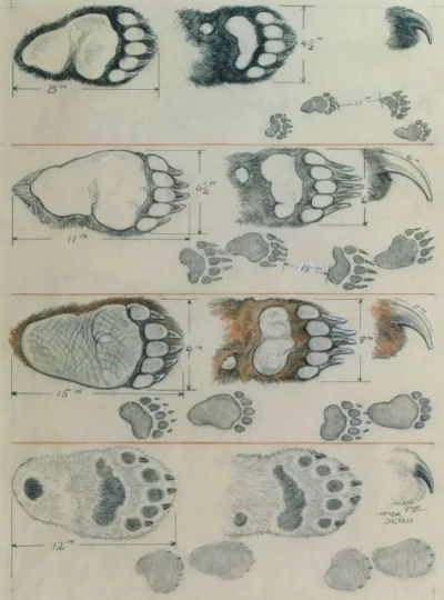 wfyokyga - @wfyokyga