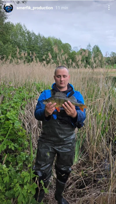 widzialapan - #papasmerfik 
Jest git.