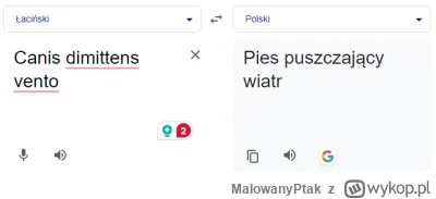 MalowanyPtak - @MalowanyPtak: A tak na serio to kundel ;p