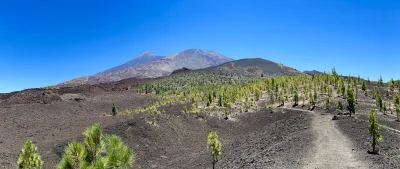 L24D - @places2visit: Fajne fotki Teide wychodzą też z okolic Montaña Cascajo, gdzie ...