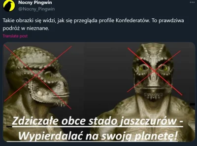 qeti - #konfederacja #ufo #teoriespiskowe #bekazprawakow