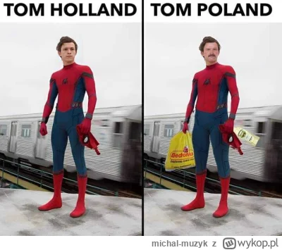 michal-muzyk - #testoviron #polska Jaki kraj taki Spider-Man