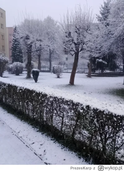 PrezesKarp - @Enigmameister Coraz. Lepiej. Chyba do kołchozu dziś z buta pójdę. Lubię...