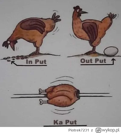 Piotrek7231 - #heheszki