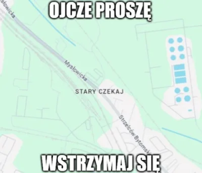 wscieklizna_irl