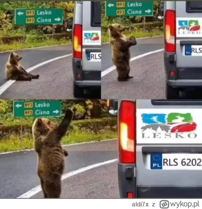 aldi7x - Kiedy jedziesz na stopa w Bieszczady i prosisz kierowcę busa, żeby tylko do ...