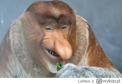 Letheo - #mecz Polska zwycięski remis, Niemiaszki smak porażki, co za piękny dzień by...