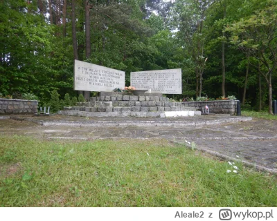 Aleale2 - Koło mnie była potyczka z partyzantami a niemcy spalili wieś.