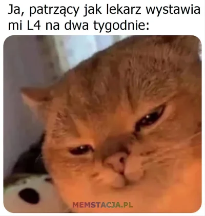 elozapiekanka - jestem na wypowiedzeniu-od wrzesnia jestem wolny
2 ostatnie tyg sierp...