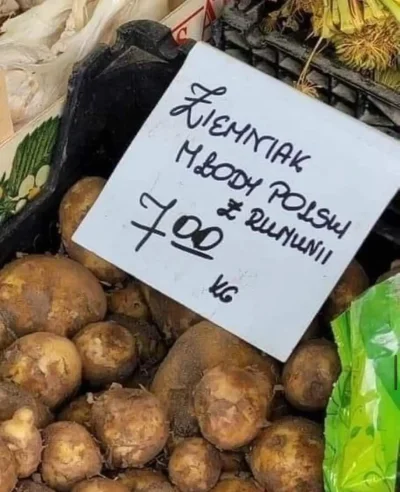 paczelok - sobota wieczur