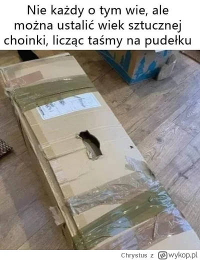 Chrystus - Wiem, że już po świętach, ale ta wiedza jest tak mało przydatna, że musiał...