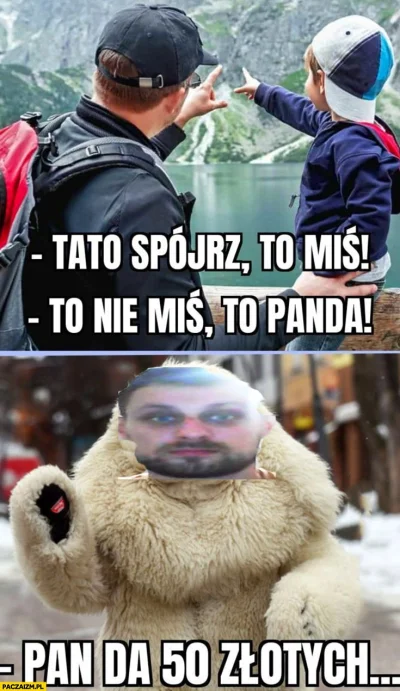 Szeregowypanda - #kononowicz #patostreamy