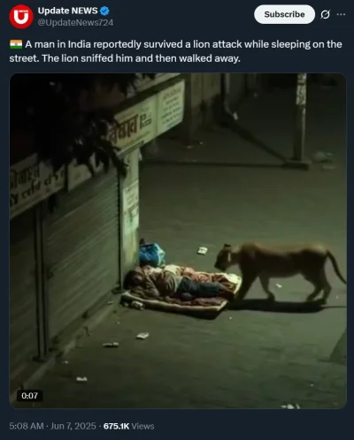 Fala_Magnezu - Protektorzy Gangesu, Namiestnicy Doliny Indusu, Kurkumowi Książęta, na...