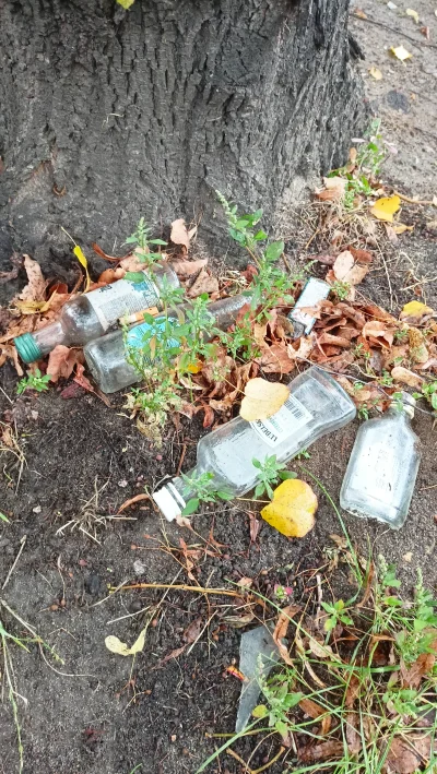 Kowal13 - Menel nie musi płacić kaucji od flaszki.