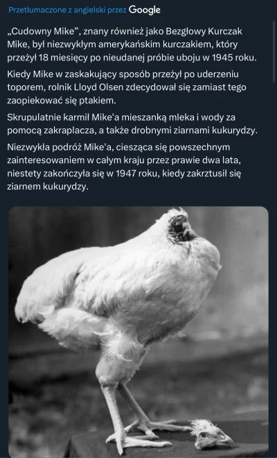 KW23 - #ciekawostki #nauka #ciekawostkihistoryczne #kurczak