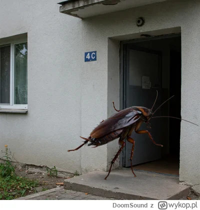 DoomSound - #danielmagical #patostreamy