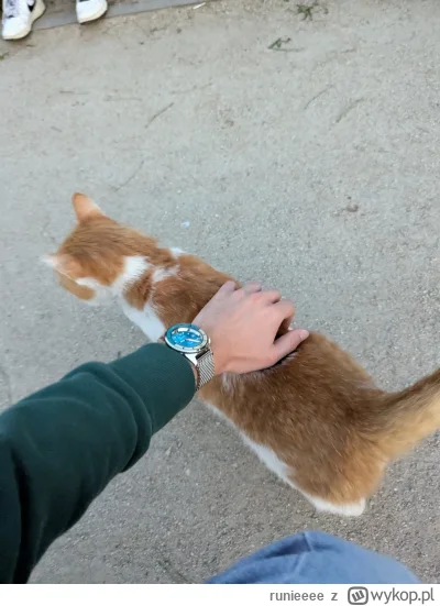 runieeee - @runieeee dd