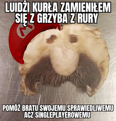 ryhu - Kim jest król goombów i na czym polega jego potęga?
#heheszki #konkursnanajbar...