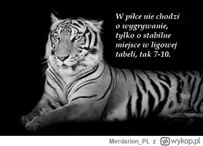 Merdarion_PL - 23 bramka w sezonie. Przy okazji PDW i życzenia szybkiego powrotu dla ...