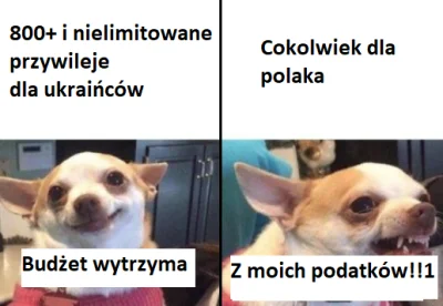 dan-ok - Ciekawe kto zwęszył biznes ze pod prikazem z centrali 2 dni całe gorące zasr...