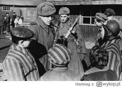 Histmag - Znalezisko - Wyzwolenie Auschwitz-Birkenau: koniec zagłady, początek pamięc...