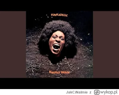 JakCiNaImie - Funkadelic - Maggot Brain