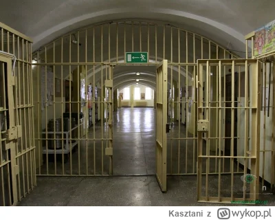 Kasztani - Myślicie, że jest szansa aby Polsat zrobił odcinek “Więzienie” z Kamińskim...