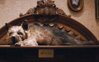 prisonhunter - #primemma #famemma