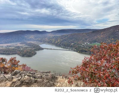 R2D2zSosnowca - @R2D2zSosnowca ʕ•ᴥ•ʔ