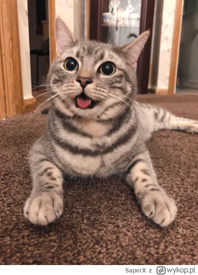 SaperX - @ediacz: kolego! Super!!!