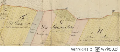 venividi01 - Pytanie skierowane do geodetów, kartografów i mających styczność oraz in...