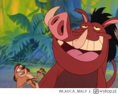 WLADCA_MALP - 51/60 #wakacjezbajkami

Timon & Pumba

Rok produkcji: 1995–1999
https:/...