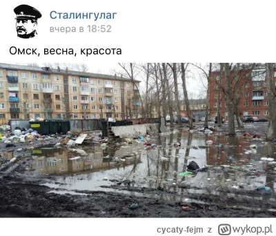 cycaty-fejm - Cześć ruskie- jak to jest- wojnę wygraliście a żyjecie jak psy w goovvn...
