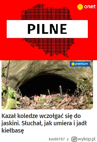 km00787 - PILNE

#kielbasa #polska #gotujzwykopem