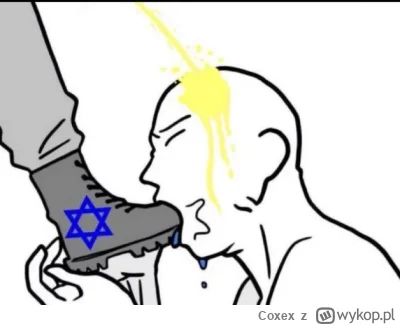 Coxex - Izrael vs Iran - jak się wypowiadają o Polsce i Polakach.

Jeśli porównamy li...