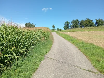 SmokStarodawny - Ide se