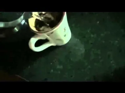 TygrysSyberyjski - @____________________: